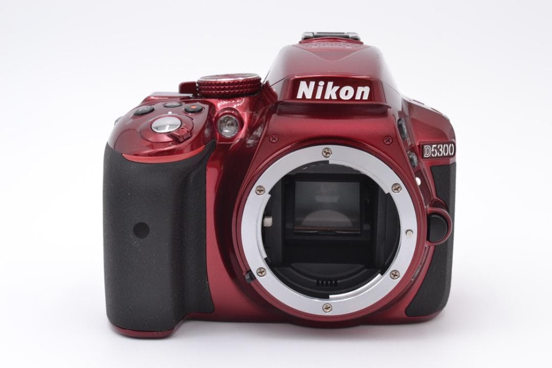 ■ 美品 S数極少 ■ ニコン　Nikon D5300 レンズキット