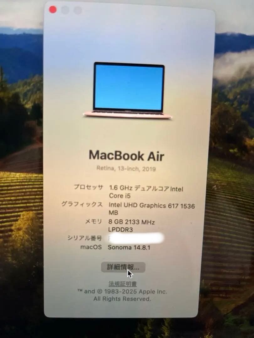 MacBook Air 2019 i5 8GB 256GB 箱付 付属品有 RG
