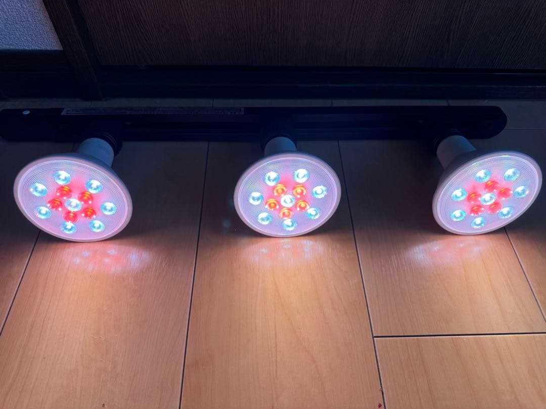 VÄXER ヴェクセル LED電球 6個 植物育成ライト