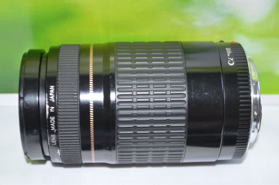 300mm超望遠レンズ★CANON EF 75-300mm