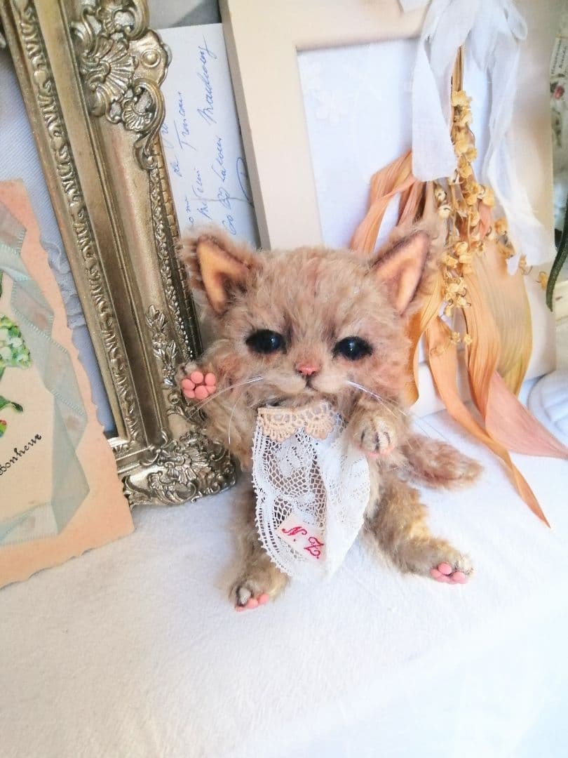 (ΦωΦ)ぷっくりほっぺ♥にゃ~おん♥里親様募集・限定♥猫