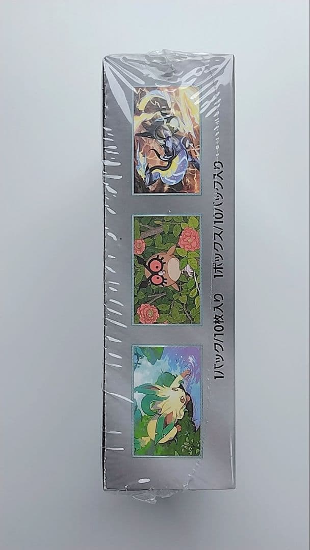 新品未開封 ポケモンカードゲーム テラスタルフェスEX　シュリンク付きbox