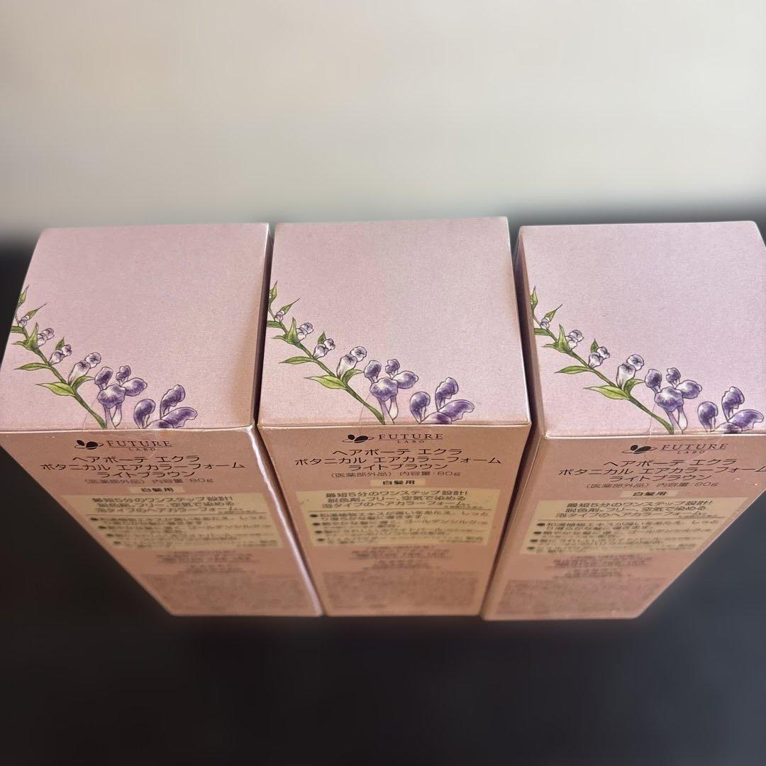ECLAT ボタニカルヘアカラー ライトブラウン 80g 3個セット