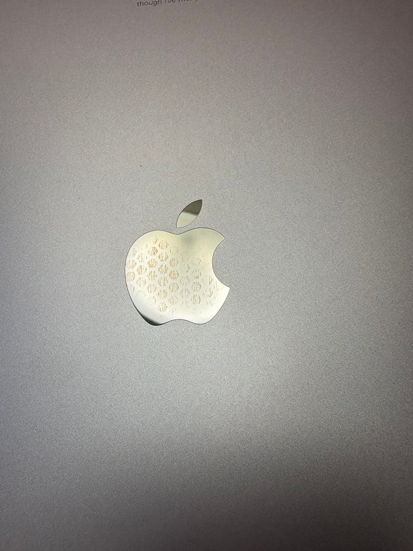 iPad Pro 10.5インチ 第1世代 256GB