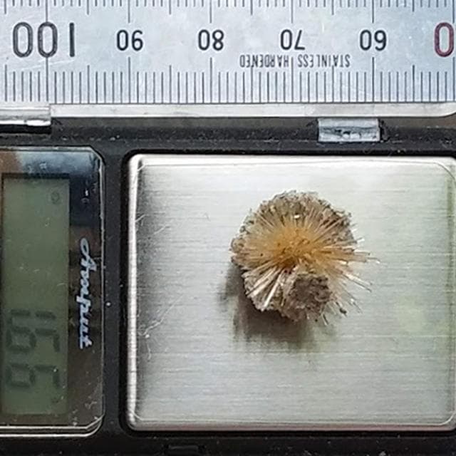 1.66g　アラゴナイト　かわいいウニゴナイト(仮称)　霰石