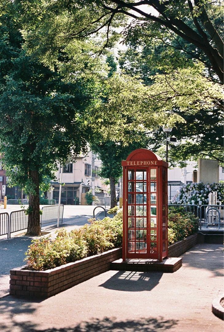 【実写確認済】Canon EX AUTO+50mm F1.8+フィルム　作例あり