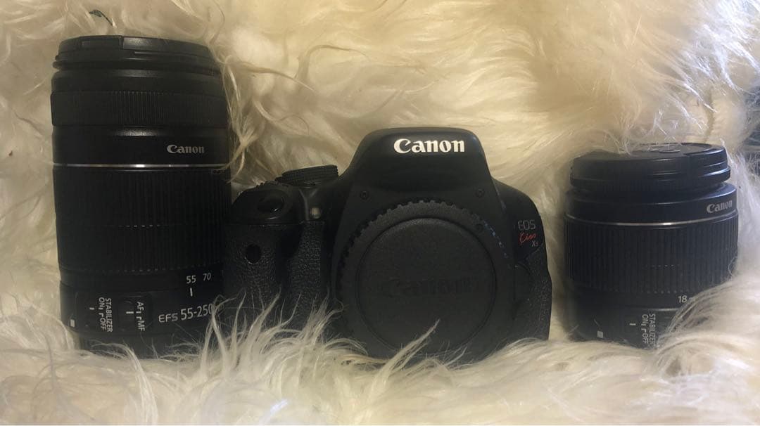 canon eos kiss x5 Wレンズキット初心者おすすめ