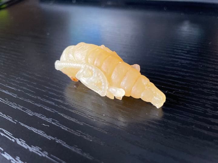 カミキリムシ　サナギ　フィギュア