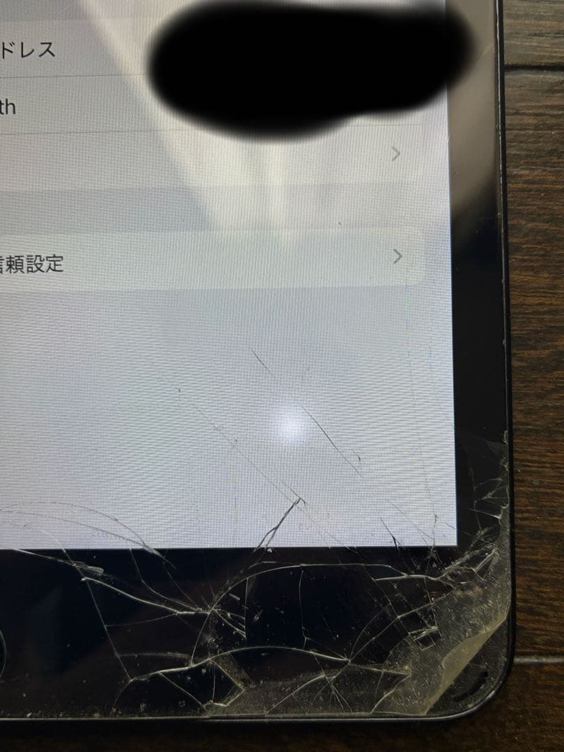 iPad mini 第五世代　スペースグレイ【訳あり】