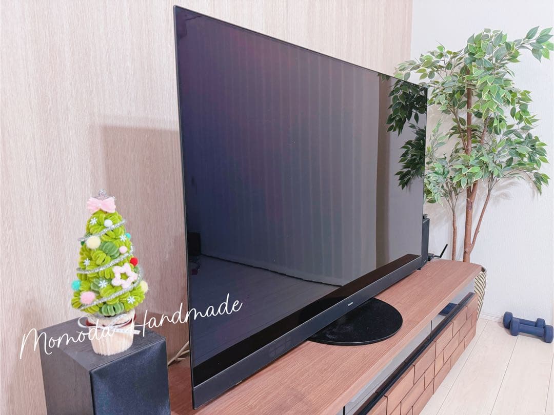 ＊匿名ちゃん＊サンタスクリスマスリースとクリスマスツリーの鉢植え3点セット