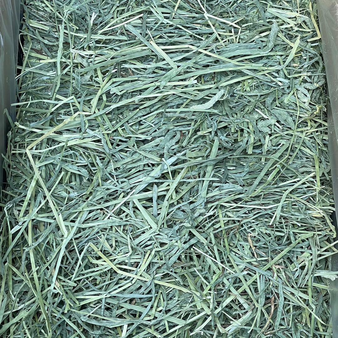★チモシー29kg R6新物◼︎プレミアム1番刈 ペットフード うさぎ 牧草