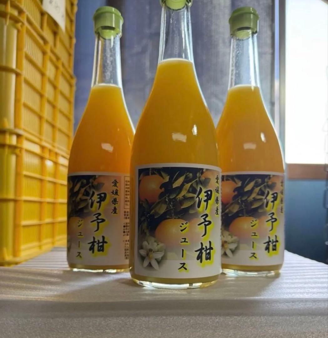 愛媛県産 みかん 伊予柑 柑橘ストレートジュース ストレートジュース