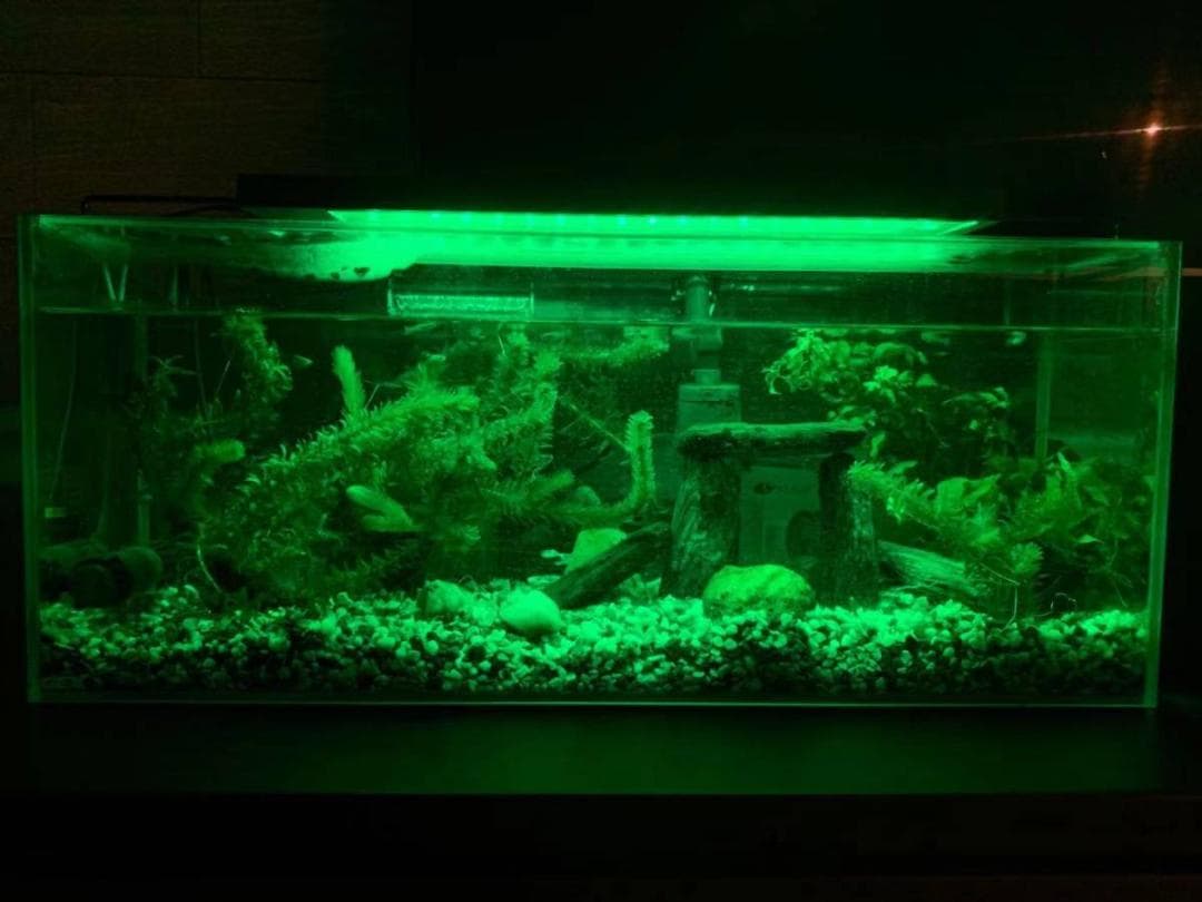 極BLUES LED アクアリウムライト120cm～135cm沖縄送料付