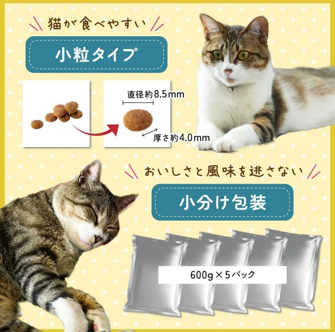 【新品・未開封】AIM30 国産品 3kg×2箱 フィッシュ キャットハウス付