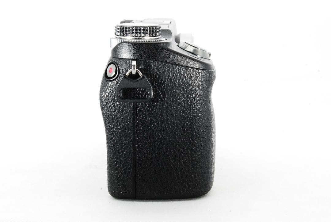 【極上美品】ソニー SONY α NEX-6 バッテリー充電器付 193