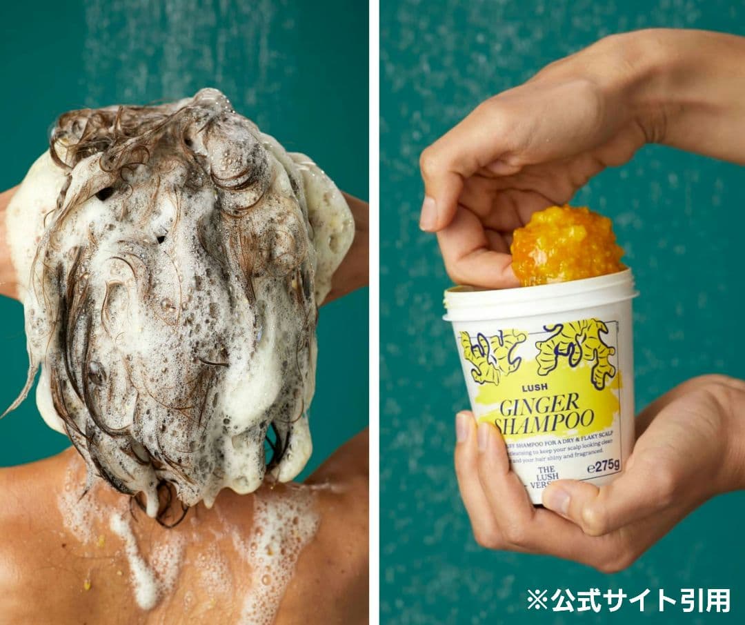 未使用　LUSH　ラッシュ　GIN シャンプー　現実頭皮　スカルプトリートメント