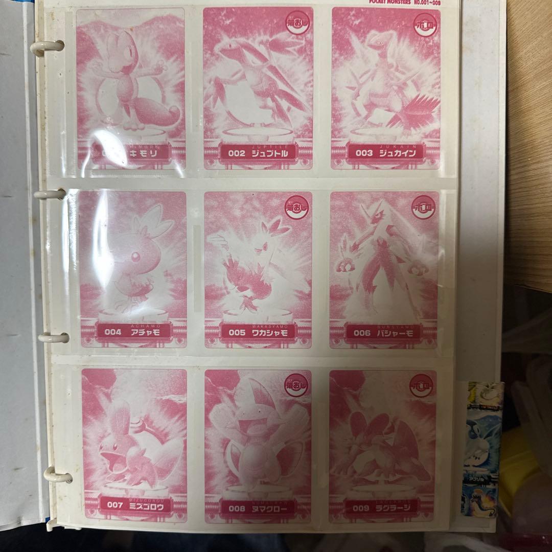 ポケモンカードファイル