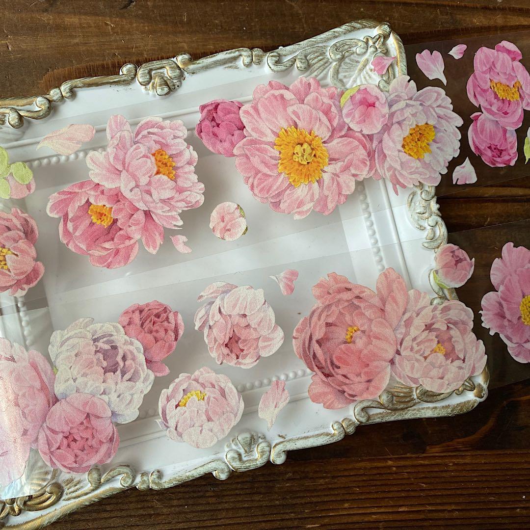 peony PET 270円
