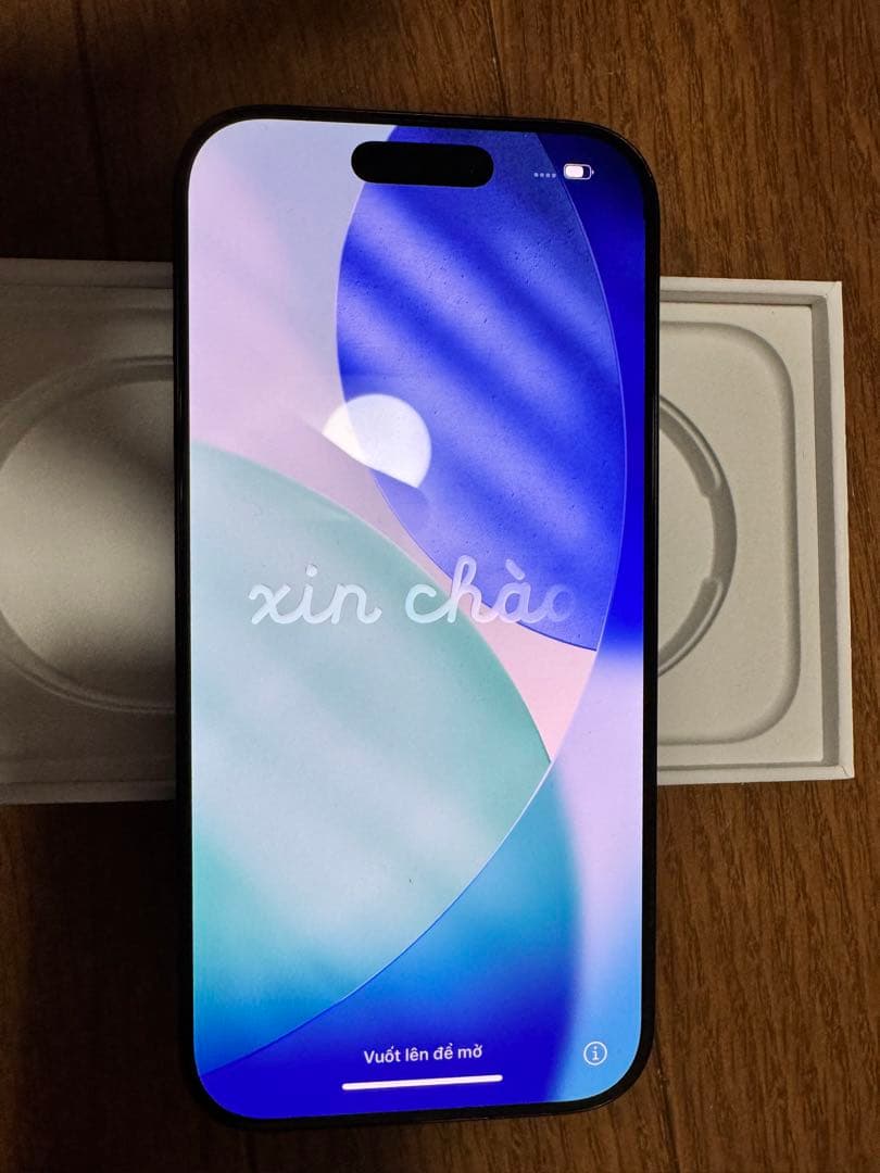 ジャンク品　iPhone 16 Pro ブラックチタニウム　256GB