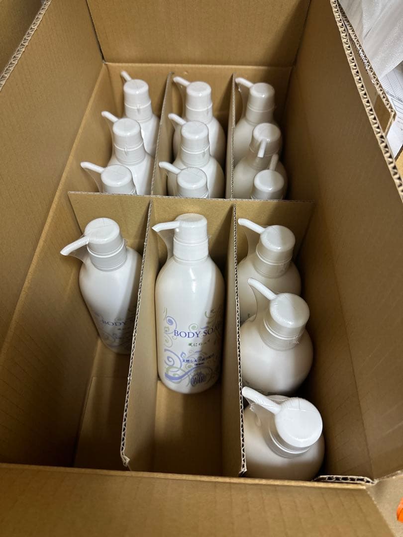 サンナホル　ボディソープ風に乗って600ml 4本　分包他商品案内説明書付き