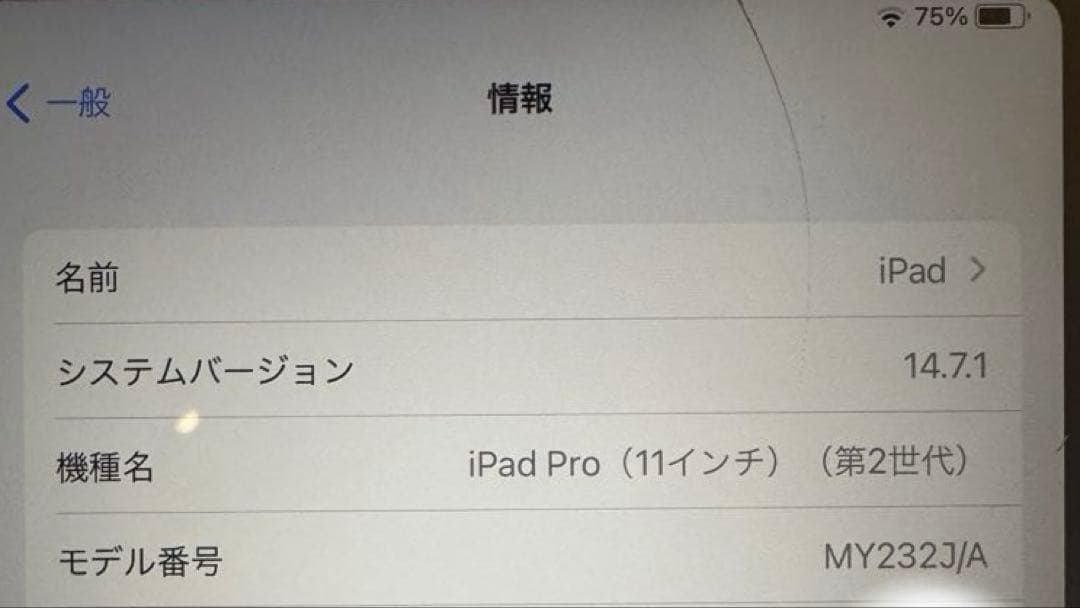 iPad Pro 11インチ 第2世代 128GB