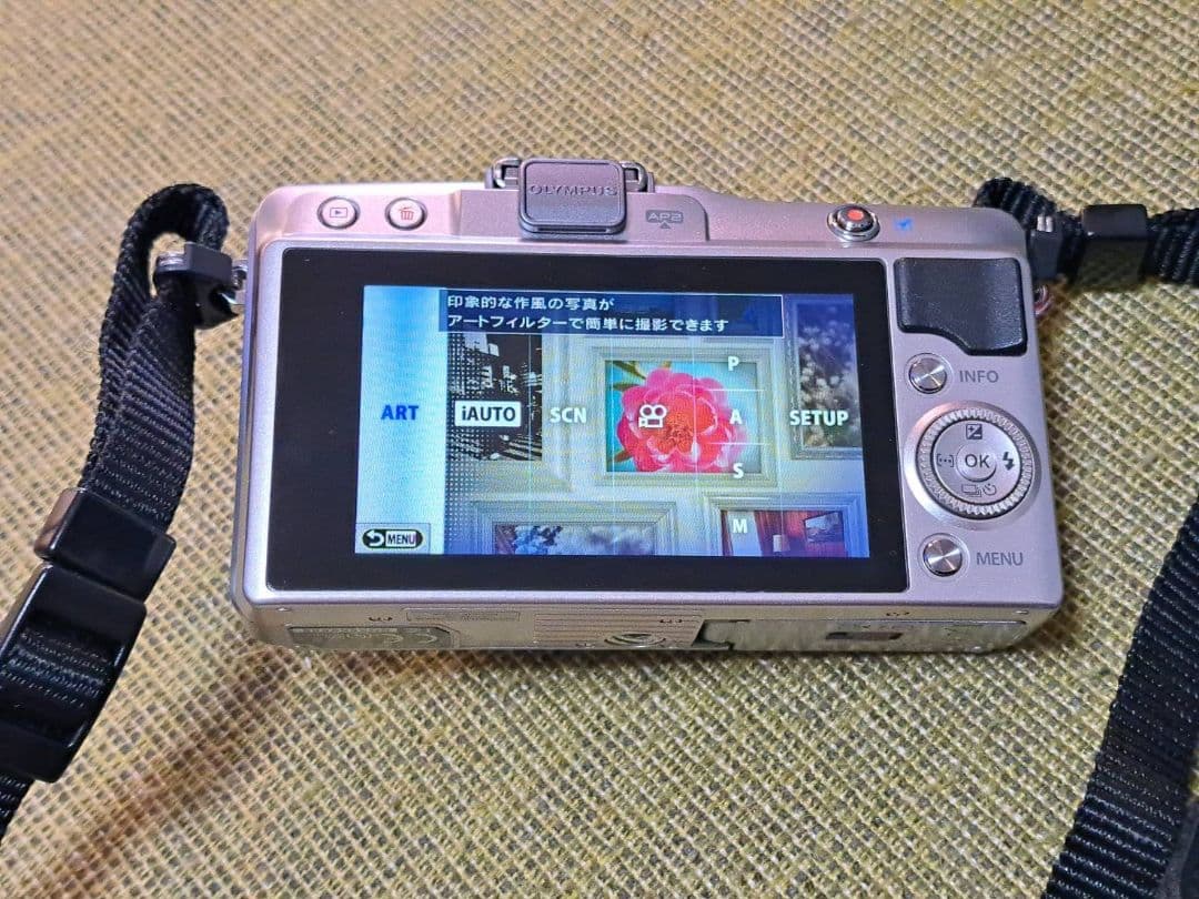 オリンパス Ｅ―ＰＭ２ ボディ