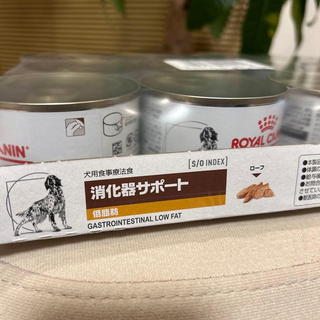  CANIN 消化器サポート 低脂肪 12缶