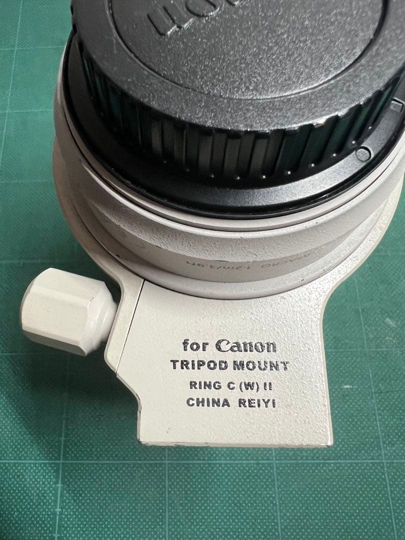 Canon EF 70-300mm レンズ