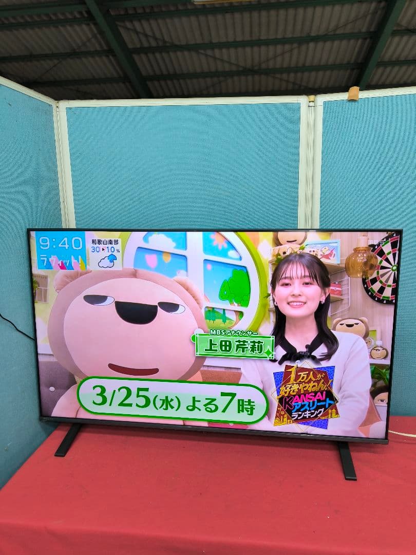 2024年製　REGZA 50V型4K液晶テレビ50E350M 　ネット動画