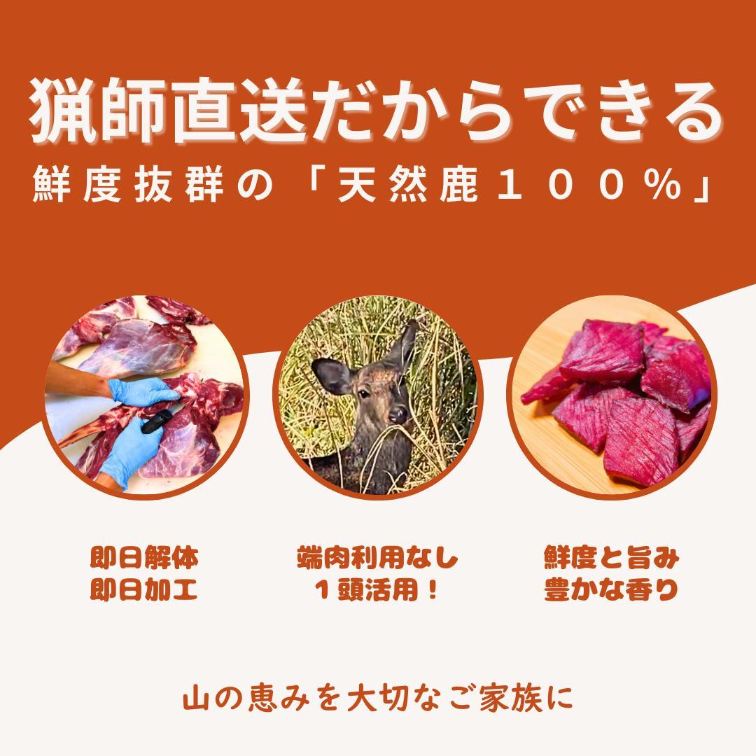 天然鹿肉生ジャーキー 40g×10袋セット 無添加 山口県産 冷凍