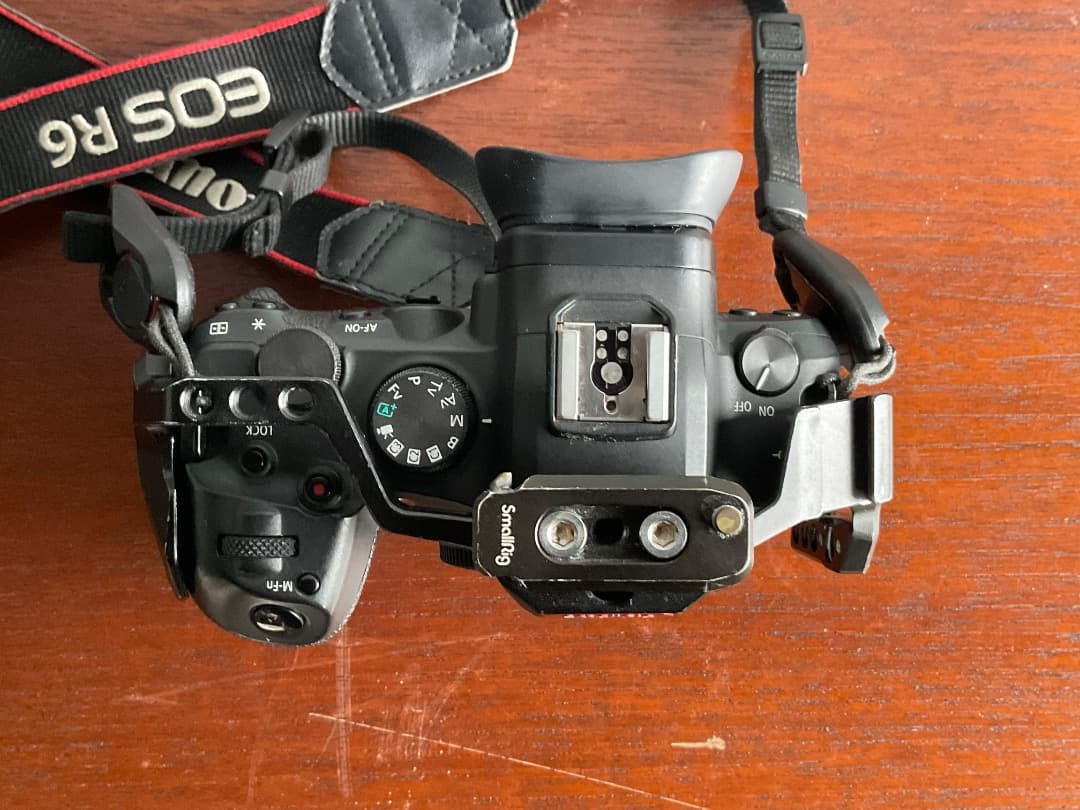 Canon EOS R6 ボディ【完動品・防湿庫保管】