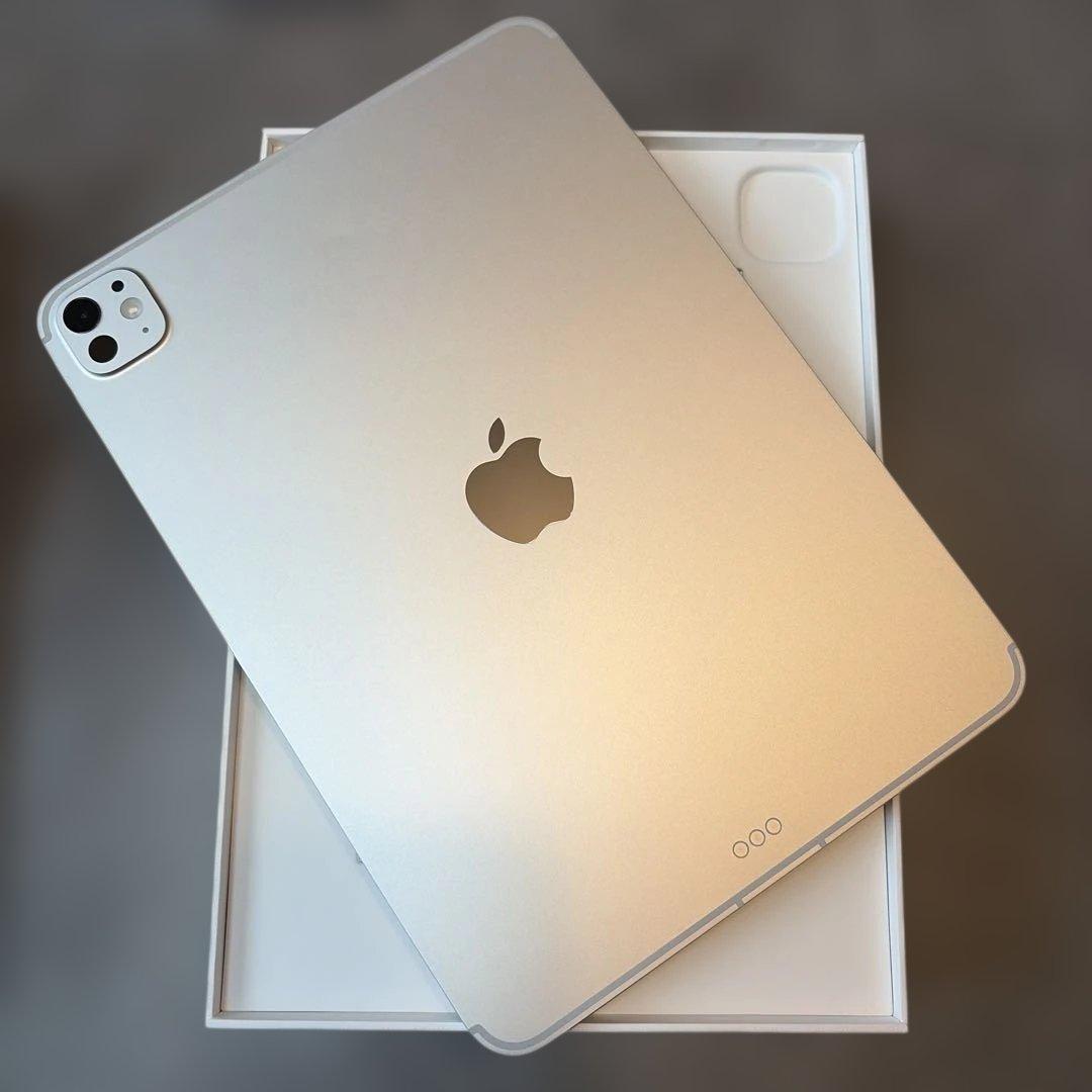 Apple iPad Pro (M5) 11インチ　512GB simフリー