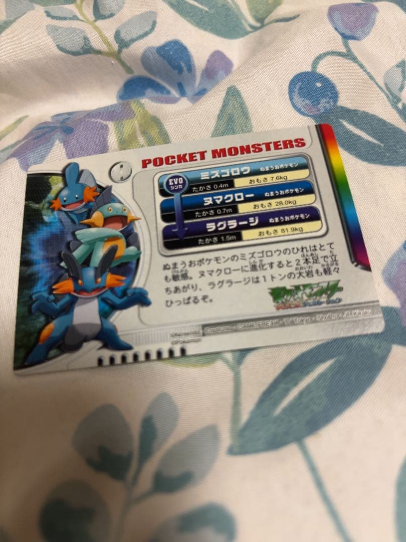 ポケットモンスター　ポケモン図鑑カード　ポケカ キモリ　ミズゴロウ