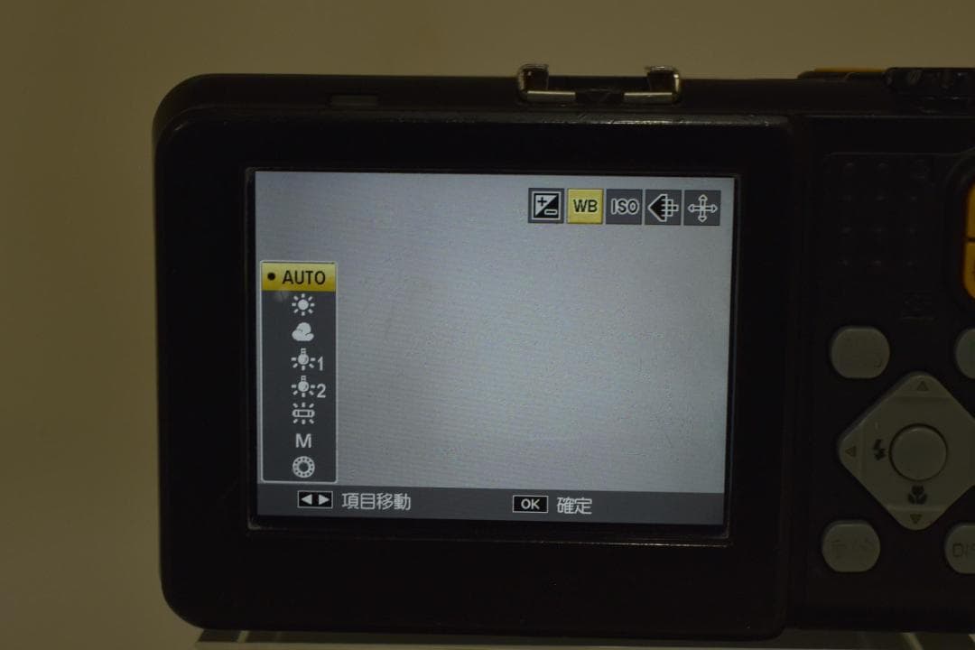 ■ 美品・S数17307回 ■ リコー　RICOH G800