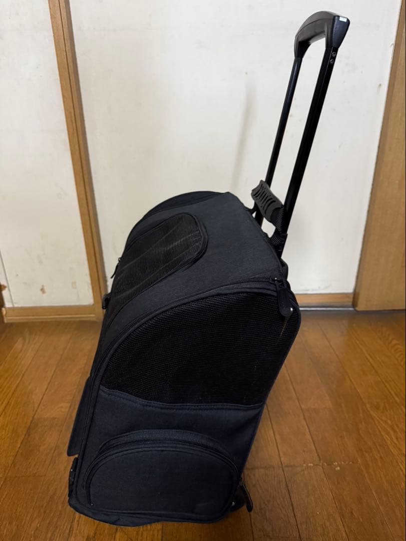 エアバギーフィット　シーコアマット付