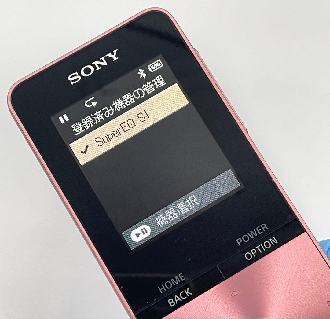 バッテリー良好　外観美品　SONY WALKMAN NW-S315 16GB