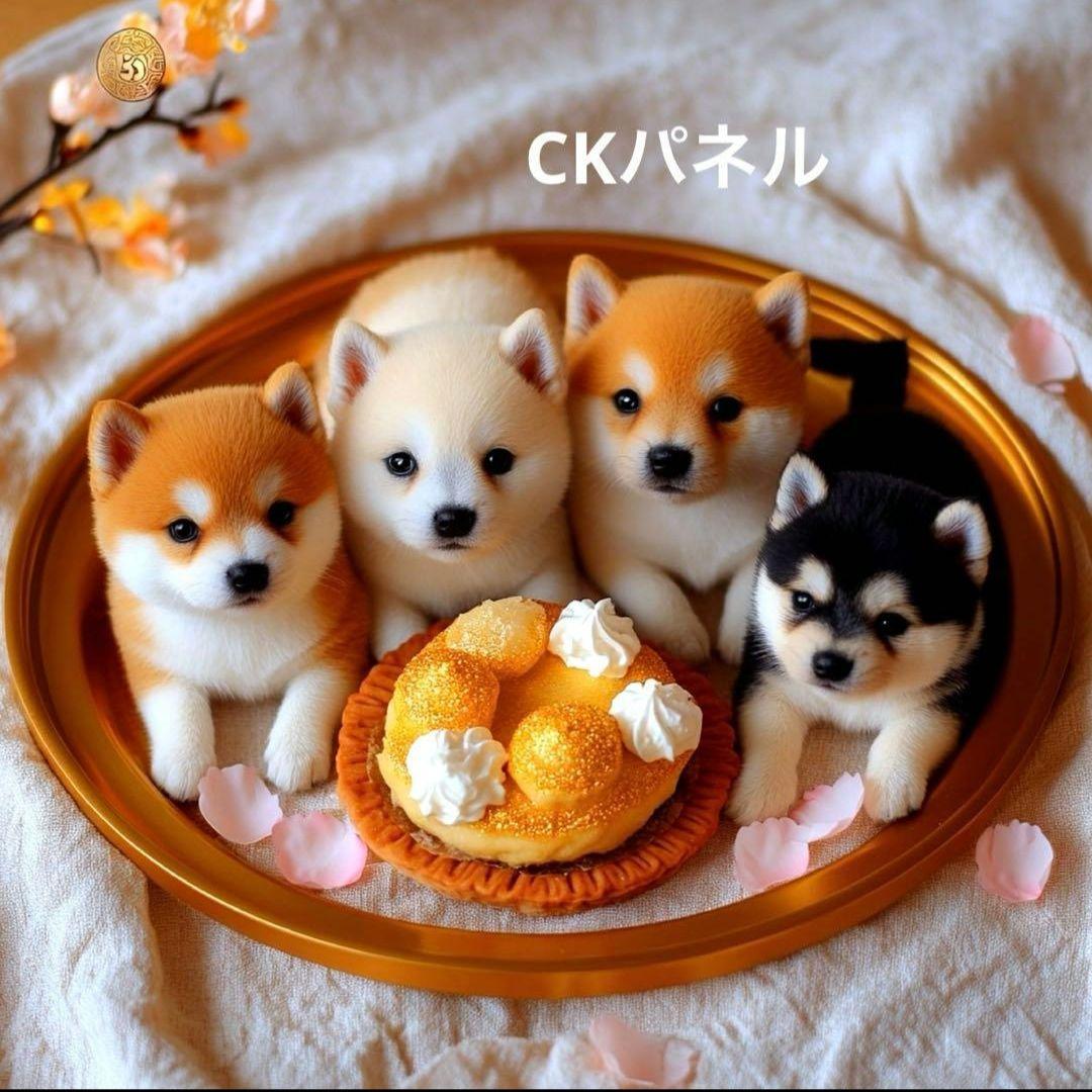 激レア柴犬、桃饅頭、杏仁豆腐、どら焼、和菓子パネル生地　ハンドメイド