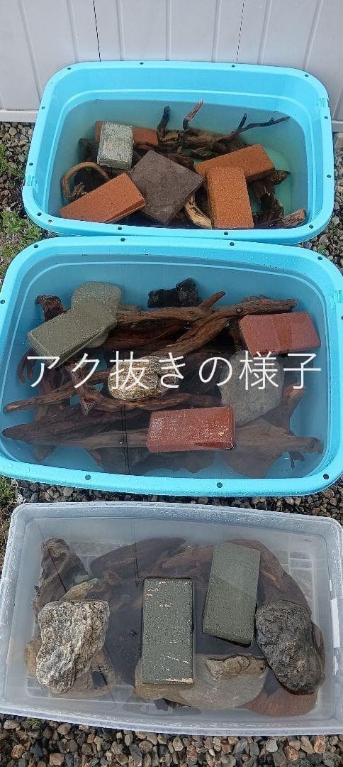 流木　NO.153