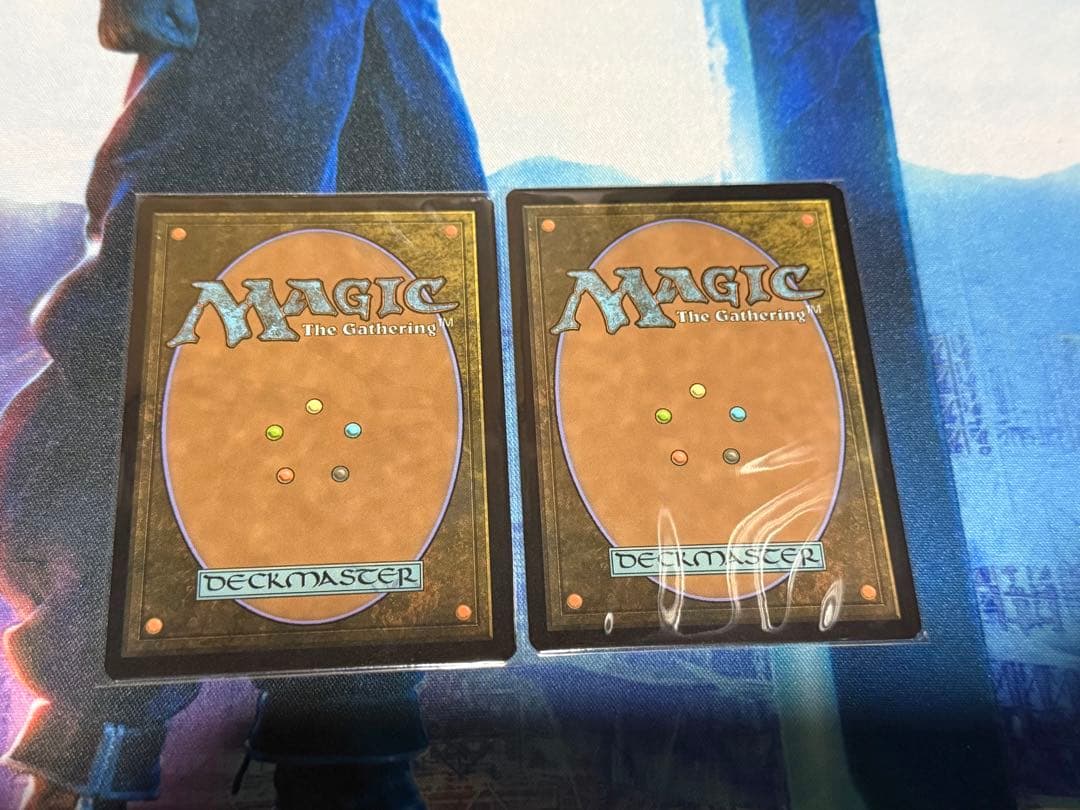 吹きさらしの荒野　ボーダレスfoil2枚セット　マジックザギャザリング