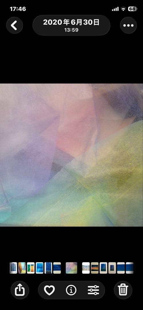 日本画特殊 典具和紙彩画　 作家　松島比呂子 蓮池の蝶（作品は全て1点もの）