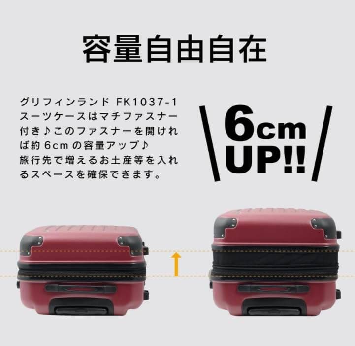 岐阜愛知引取☑️Griffinland(グリフィン)スーツケース キャリーケース