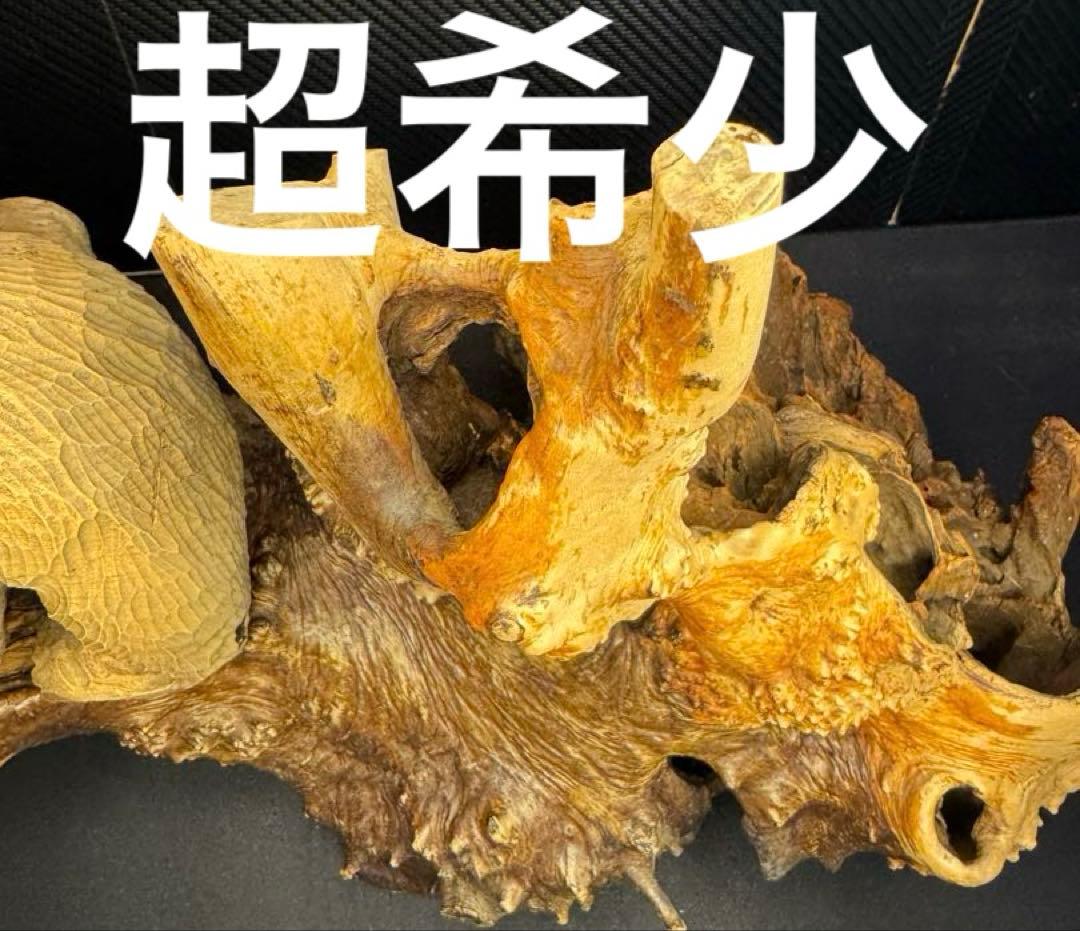 【元値21万円‼️】当時物 昭和 北海道限定 熊 彫刻 手彫り 工芸品 縁起物