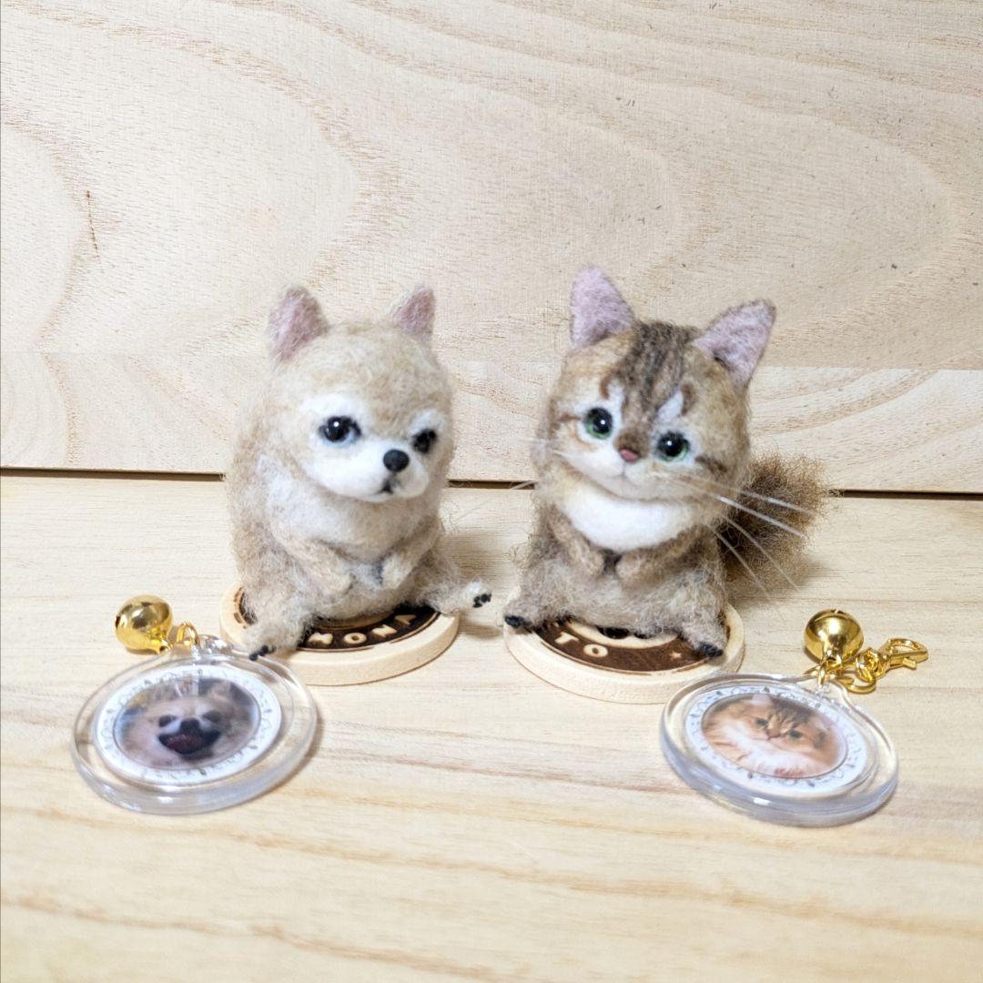 苔アートmana出品 豆猫PECO-LIN
