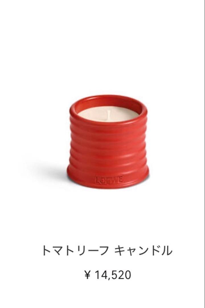 LOEWE トマトリーフ ギフトボックス