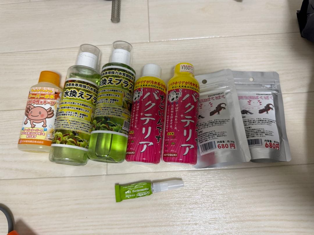 ウーパールーパー　20cm、30cm水槽セット