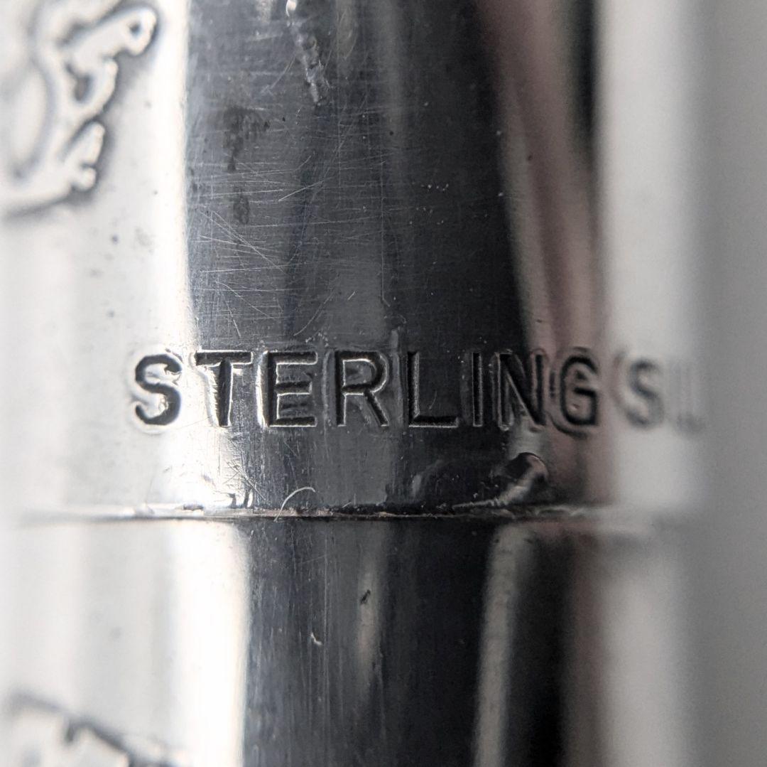 Platinum プラチナ 万年筆18KWG SV925 中字 リビエール 銀河