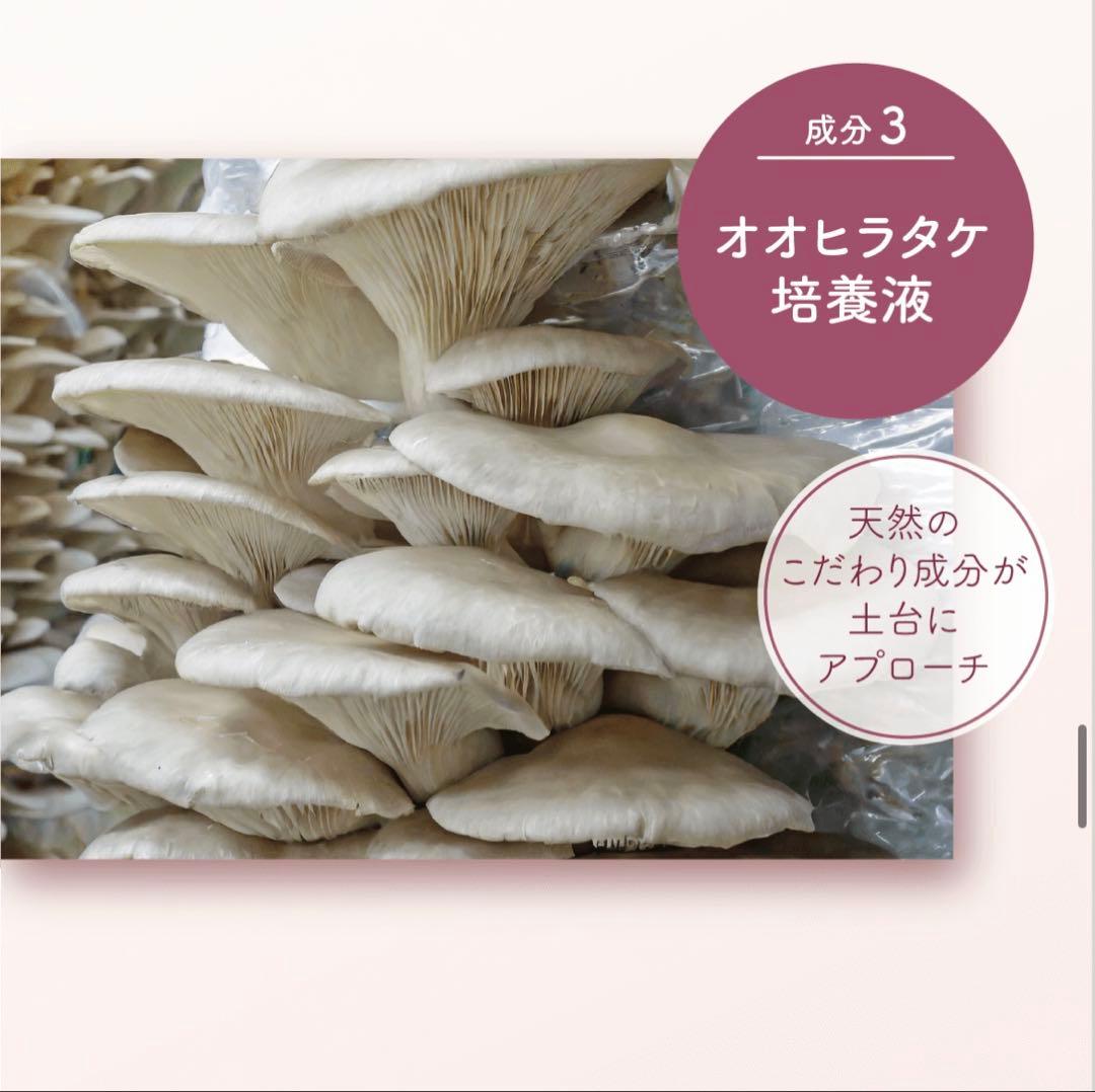 【シワ改善クリーム】リンクル11ナイト 18g 1本