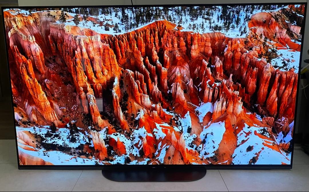 ソニー ブラビア55V型 4K有機ELテレビ KJ-55A9G