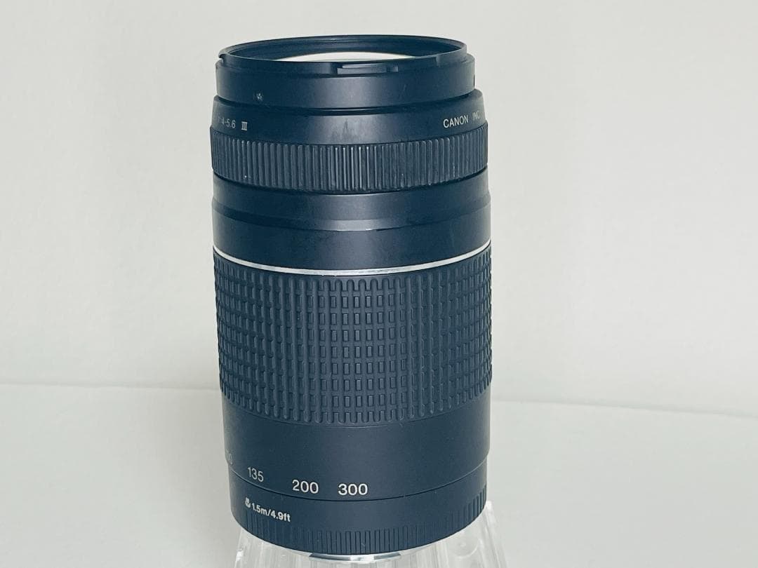 【完動品】 Canon EF 75-300mm F4-5.6 III 望遠レンズ