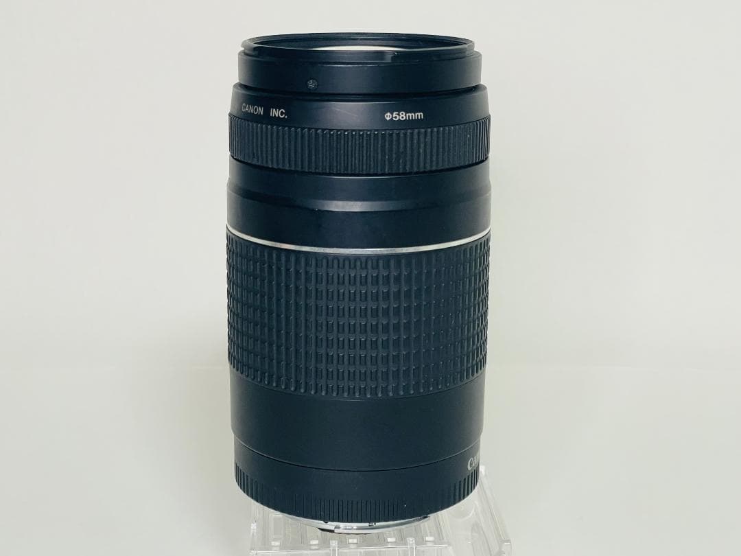 【完動品】 Canon EF 75-300mm F4-5.6 III 望遠レンズ